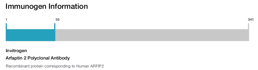 Arfaptin 2 Polyclonal Antibody