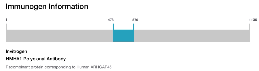 HMHA1 Polyclonal Antibody