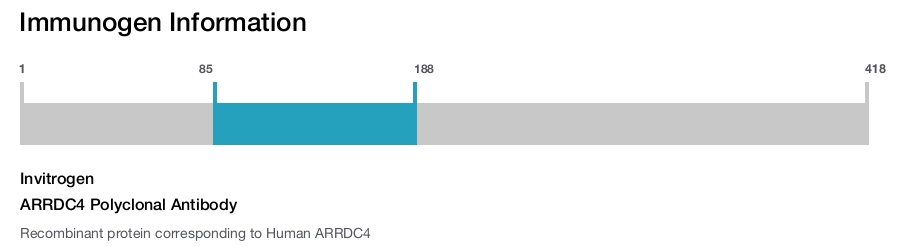 ARRDC4 Polyclonal Antibody