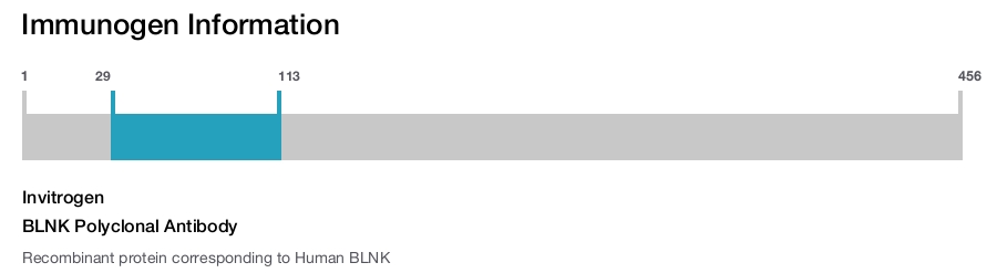 BLNK Polyclonal Antibody