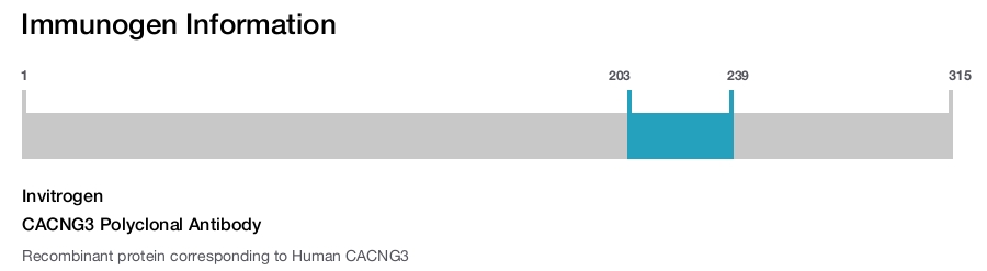CACNG3 Polyclonal Antibody