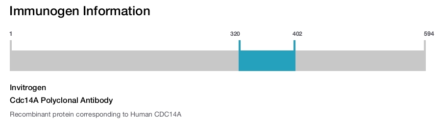 Cdc14A Polyclonal Antibody