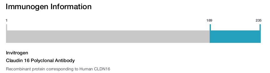 Claudin 16 Polyclonal Antibody