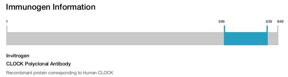CLOCK Polyclonal Antibody