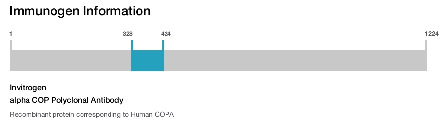 alpha COP Polyclonal Antibody