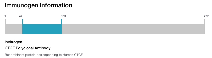 CTCF Polyclonal Antibody
