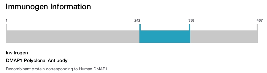DMAP1 Polyclonal Antibody