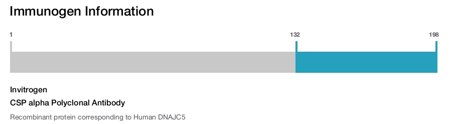 CSP alpha Polyclonal Antibody