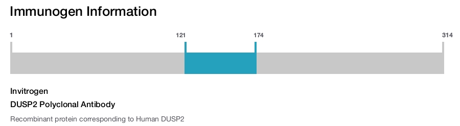 DUSP2 Polyclonal Antibody