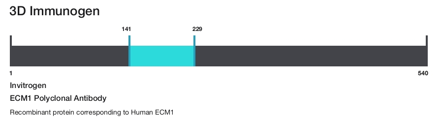 ECM1 Polyclonal Antibody