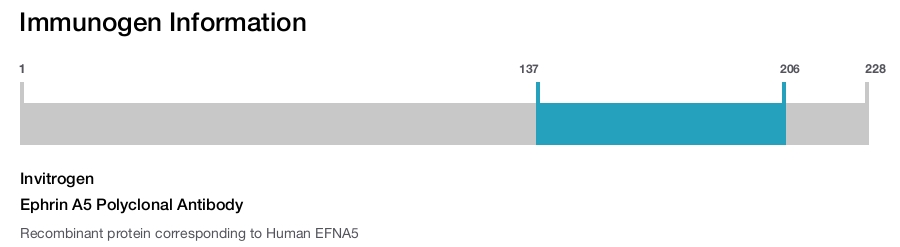 Ephrin A5 Polyclonal Antibody