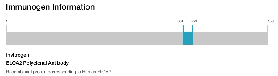 ELOA2 Polyclonal Antibody