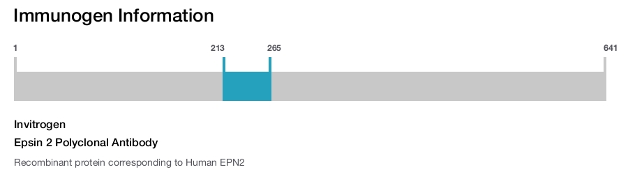 Epsin 2 Polyclonal Antibody