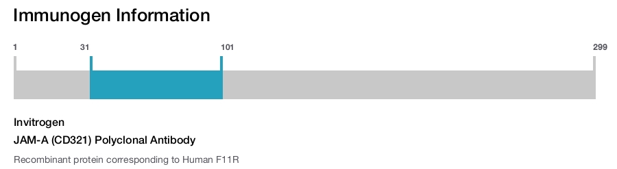 JAM-A (CD321) Polyclonal Antibody