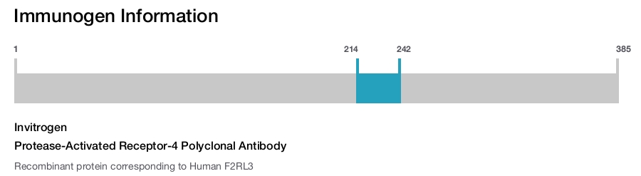 Protease-Activated Receptor-4 Polyclonal Antibody