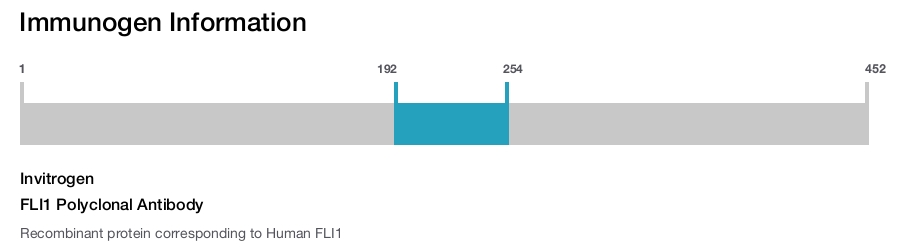 FLI1 Polyclonal Antibody