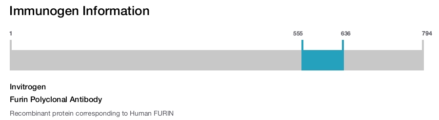 Furin Polyclonal Antibody