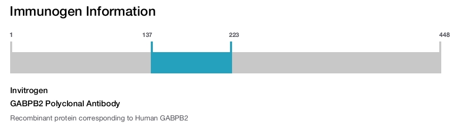 GABPB2 Polyclonal Antibody