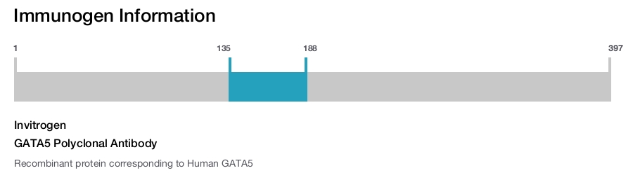 GATA5 Polyclonal Antibody