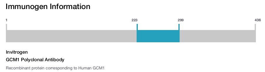 GCM1 Polyclonal Antibody
