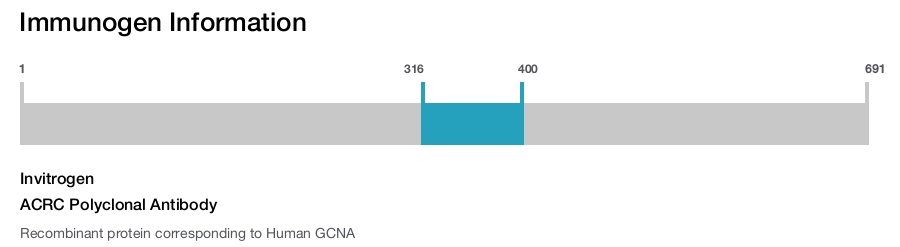 ACRC Polyclonal Antibody