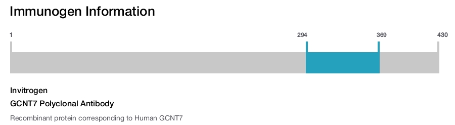 GCNT7 Polyclonal Antibody