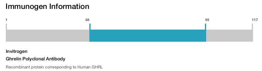 Ghrelin Polyclonal Antibody