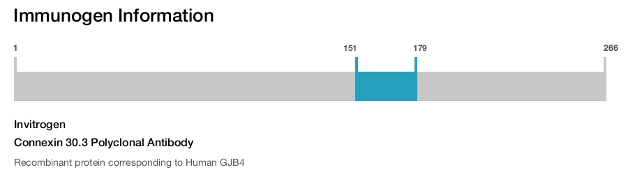 Connexin 30.3 Polyclonal Antibody