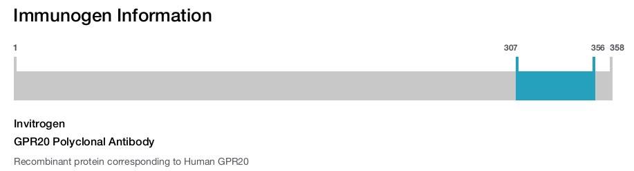GPR20 Polyclonal Antibody