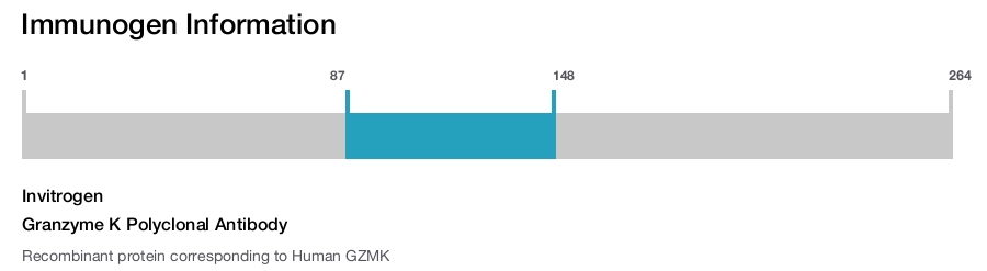 Granzyme K Polyclonal Antibody