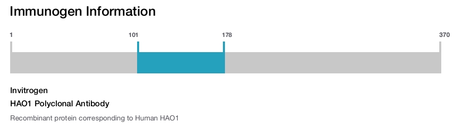 HAO1 Polyclonal Antibody