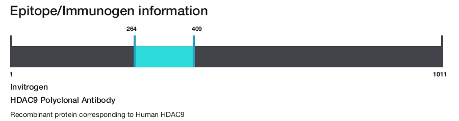 HDAC9 Polyclonal Antibody