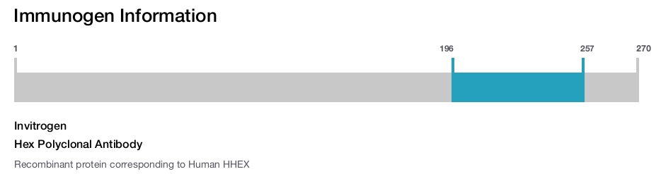 Hex Polyclonal Antibody