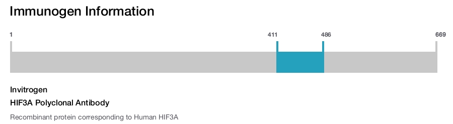 HIF3A Polyclonal Antibody