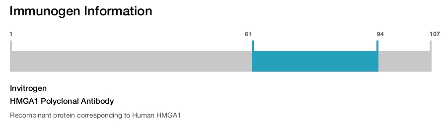 HMGA1 Polyclonal Antibody