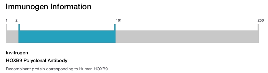 HOXB9 Polyclonal Antibody