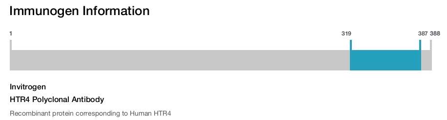 HTR4 Polyclonal Antibody