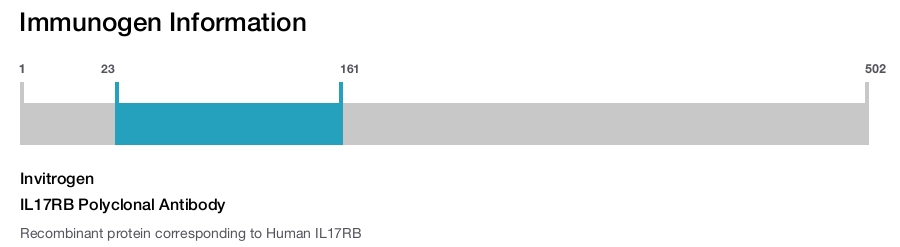 IL17RB Polyclonal Antibody