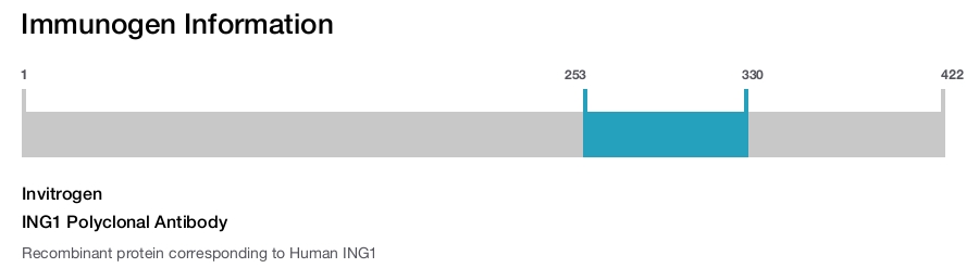 ING1 Polyclonal Antibody