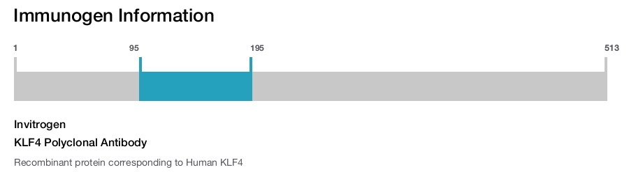KLF4 Polyclonal Antibody