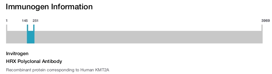 HRX Polyclonal Antibody