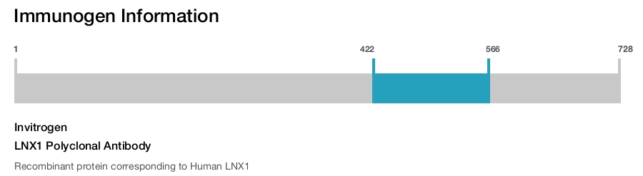 LNX1 Polyclonal Antibody