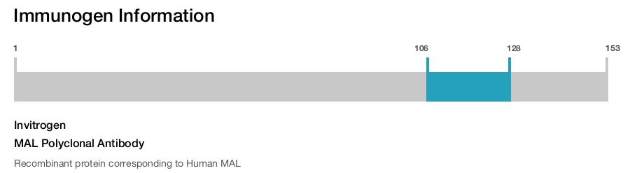 MAL Polyclonal Antibody