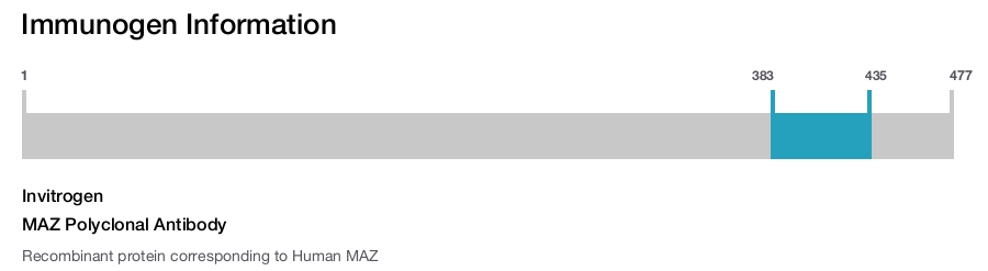 MAZ Polyclonal Antibody