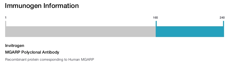 MGARP Polyclonal Antibody