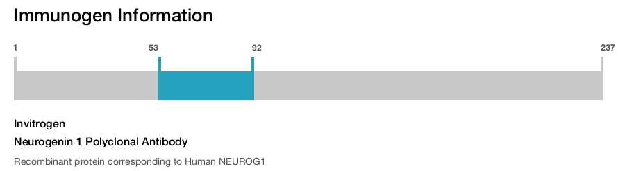 Neurogenin 1 Polyclonal Antibody