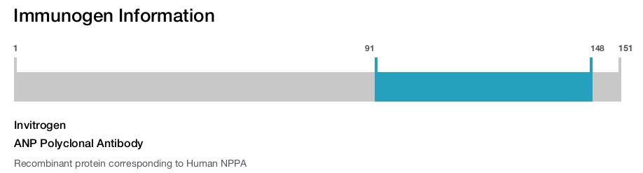 ANP Polyclonal Antibody