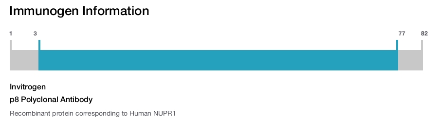 p8 Polyclonal Antibody