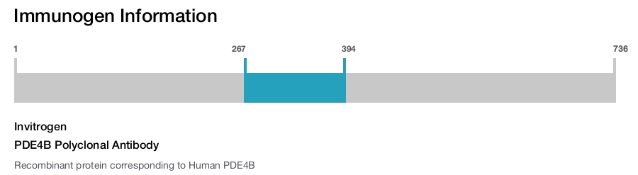 PDE4B Polyclonal Antibody