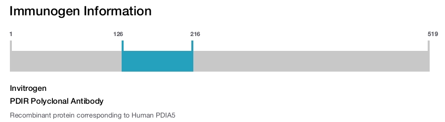 PDIR Polyclonal Antibody
